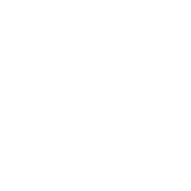 THE CABINET