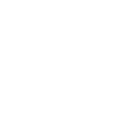 Saj Nation